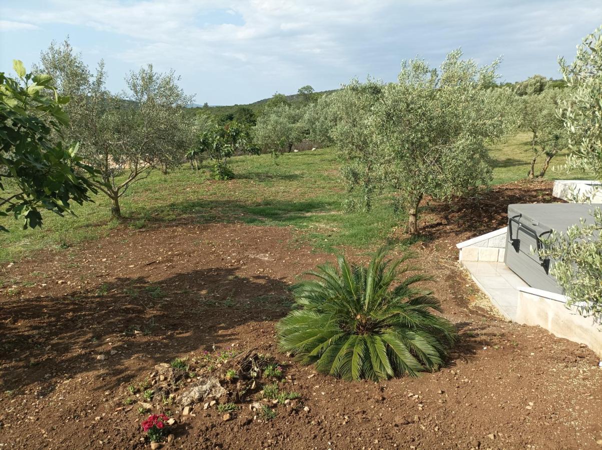 New 2023 Villa Tree Of Life Sveti Petar  Eksteriør bilde
