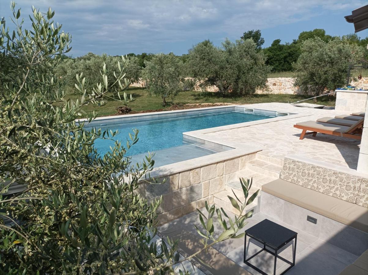 New 2023 Villa Tree Of Life Sveti Petar  Eksteriør bilde