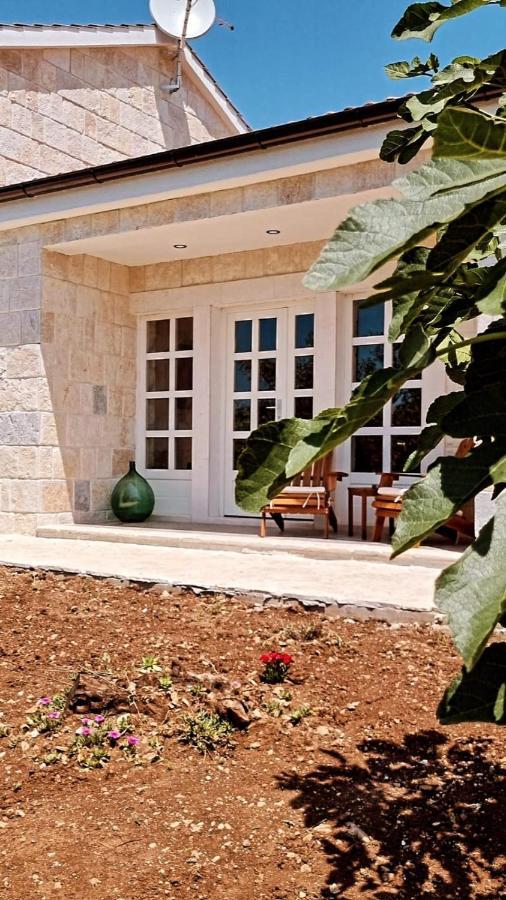 New 2023 Villa Tree Of Life Sveti Petar  Eksteriør bilde